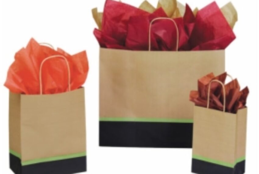 Vibrant In-Stock Paper Shopping Bags!
