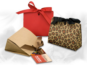 Purse Style Gift Card Boxes with Ribbon Closure
