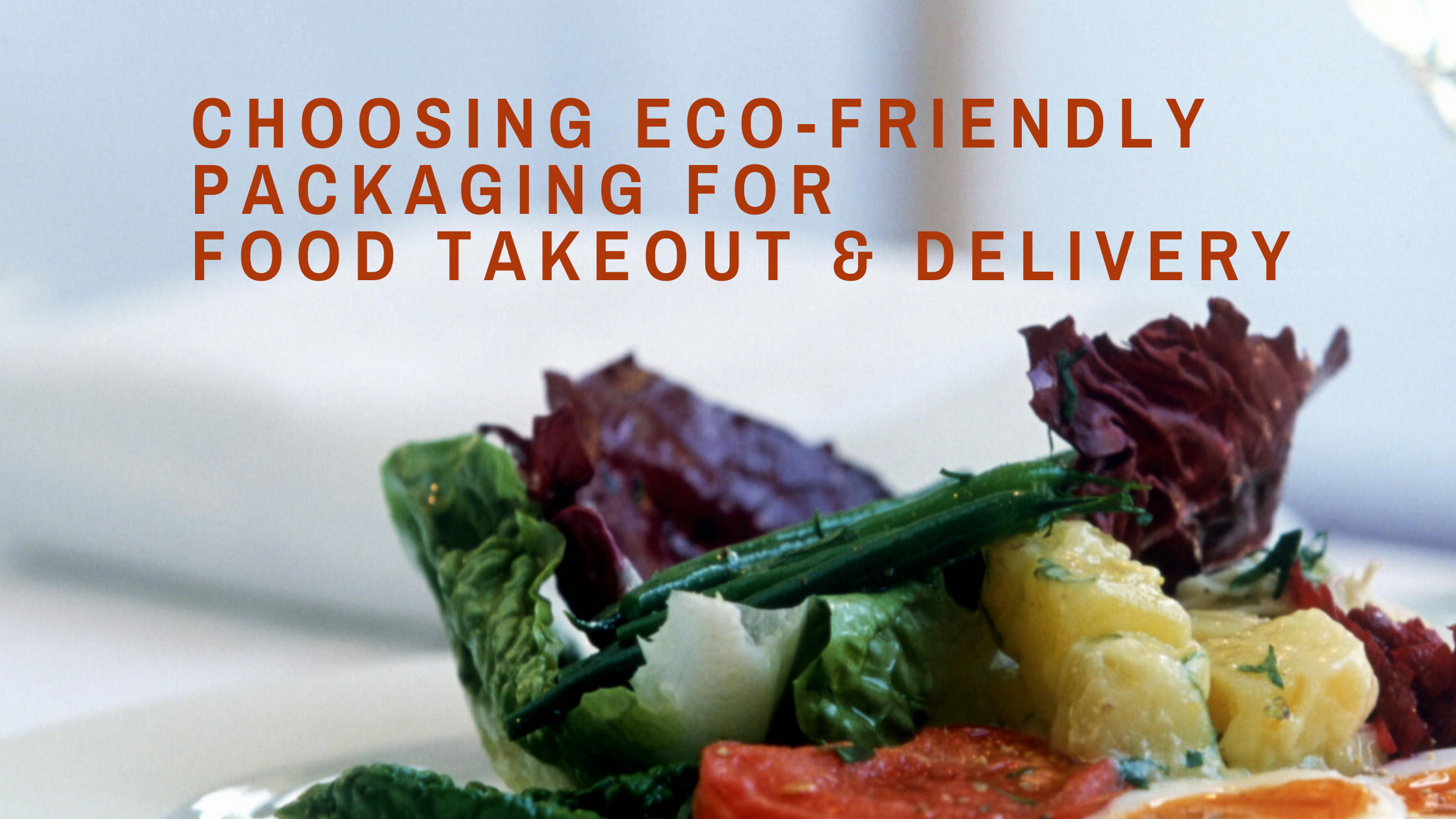 Eco-Friendly Packaging for Food Takeout & Delivery