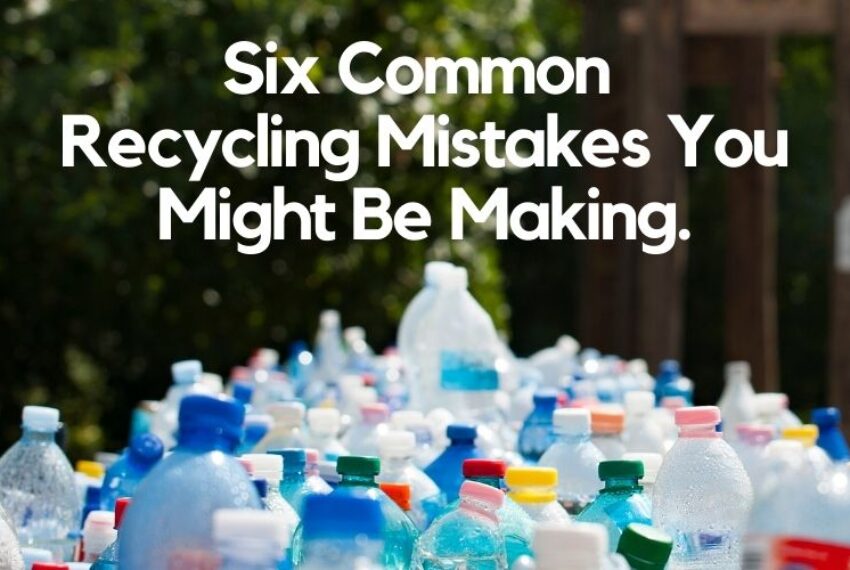 Six Common Recycling Mistakes You Might Be Making.