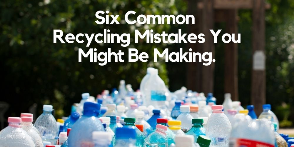 Six Common Recycling Mistakes You Might Be Making.