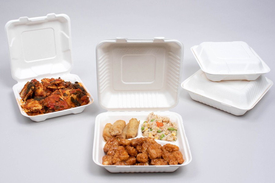 bagasse boxes